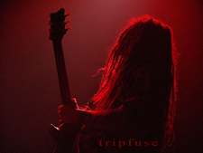 tripfuse logo